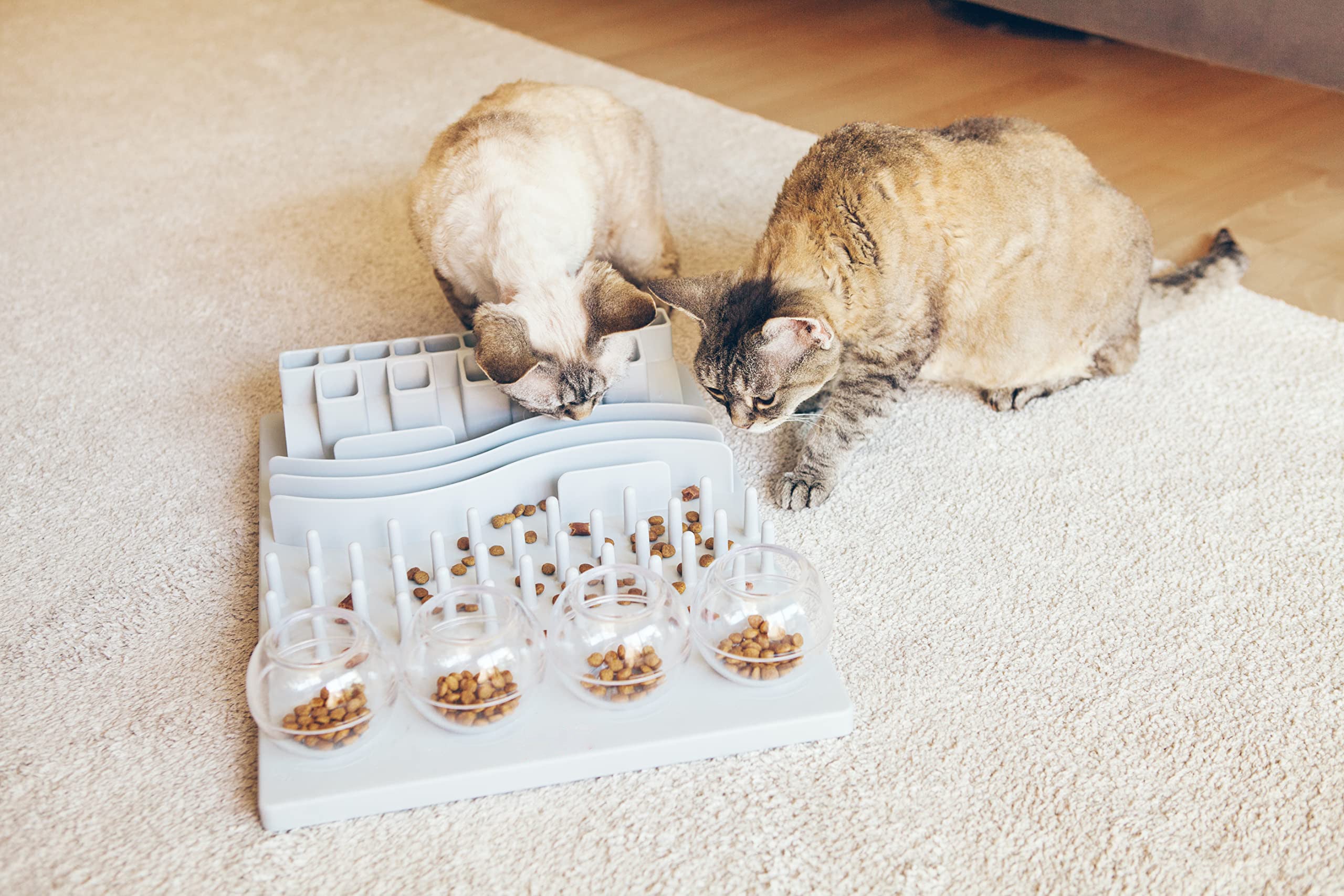 Feeding & Daily Essentials