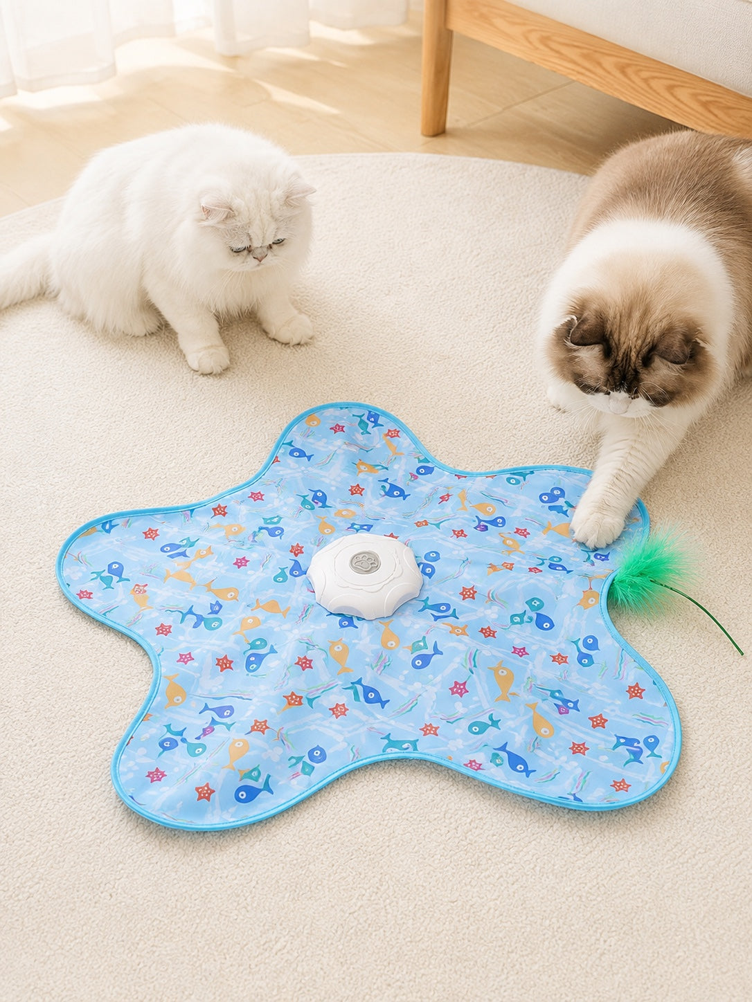 Two indoor cats playing with the Fish Pattern hide-and-seek cat toy mat
