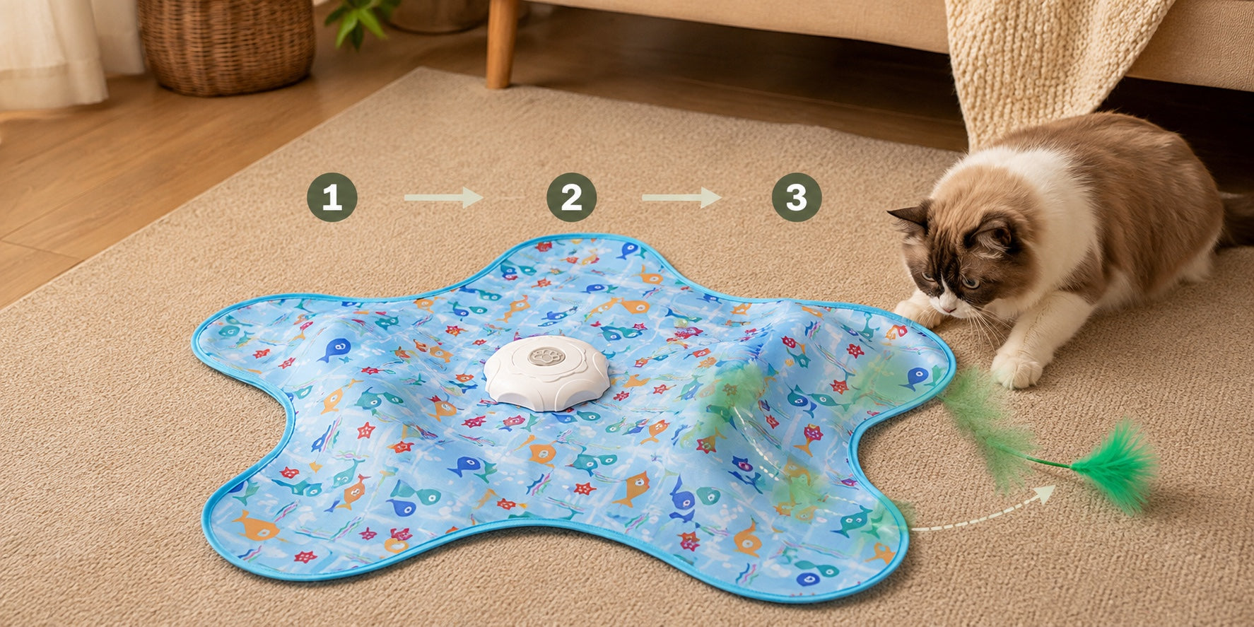 Cat tracking the teaser across three speed settings