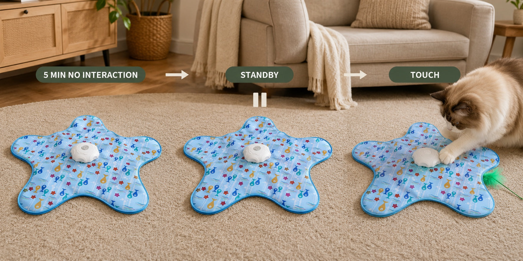 Cat touching the mat to wake the toy from standby