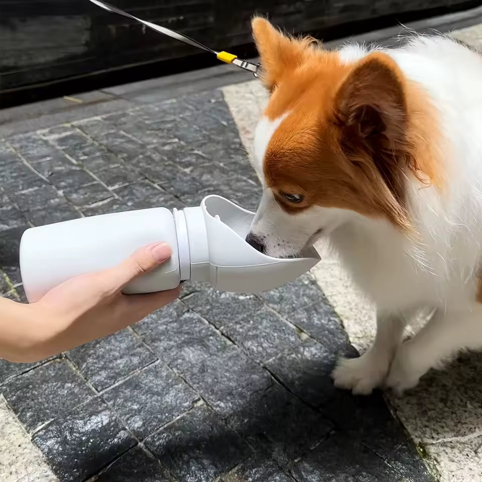 Large Bore Pet Water Bottle