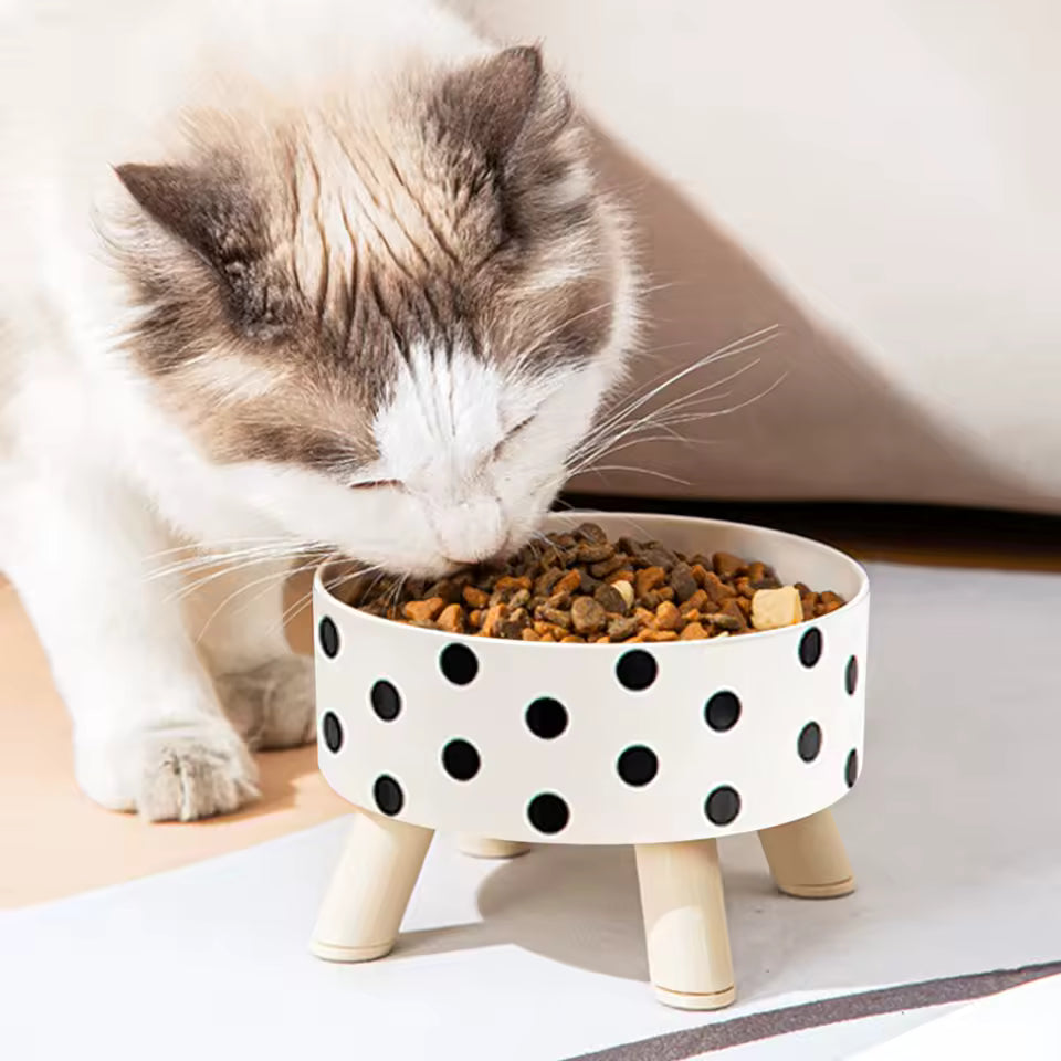 Polka Dot Non-Slip Pet Bowl