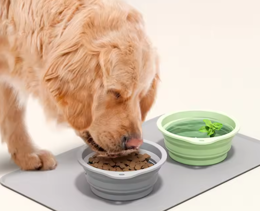 Portable Collapsible Pet Bowl