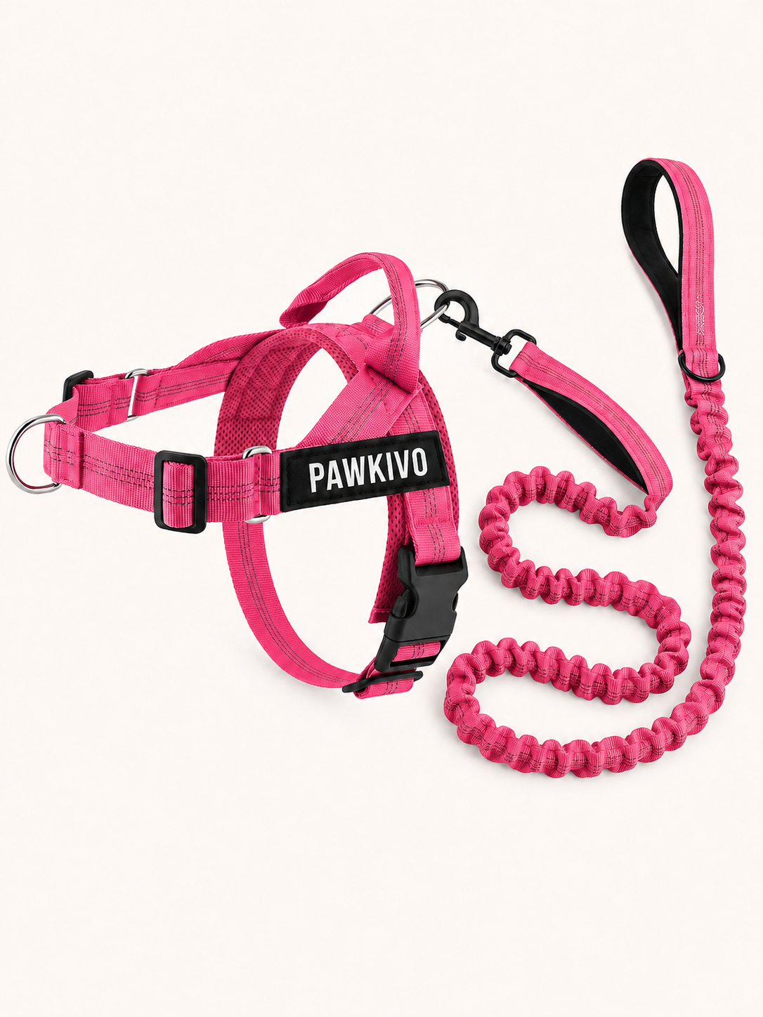 Rose personalized dog harness and bungee leash set