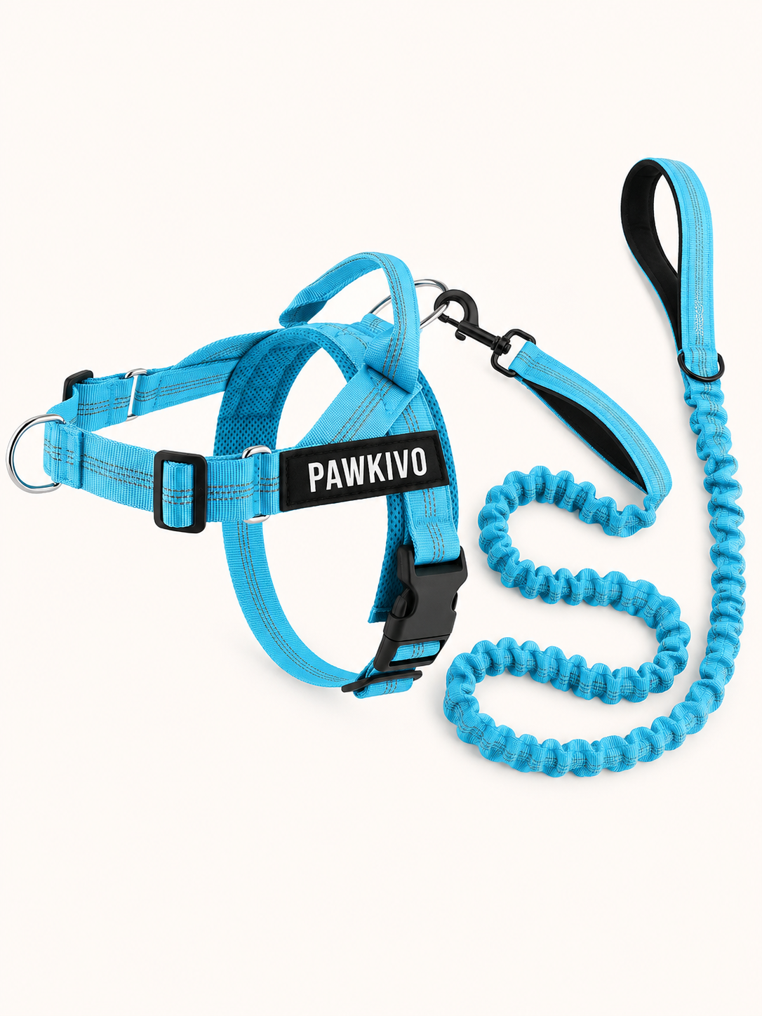 Sky Blue personalized dog harness and bungee leash set