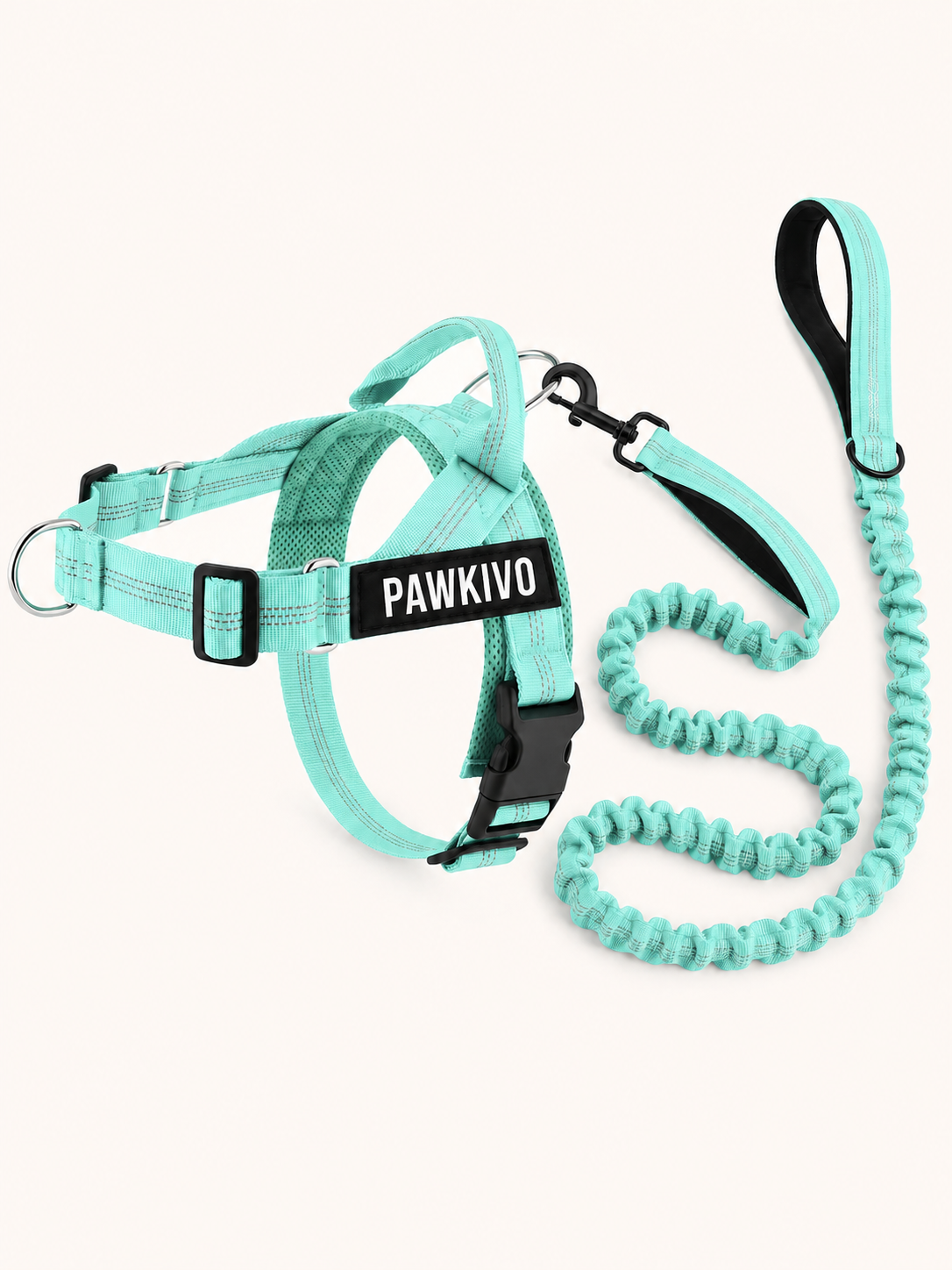 Turquoise personalized dog harness and bungee leash set