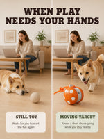Moving pet toy for play during busy moments