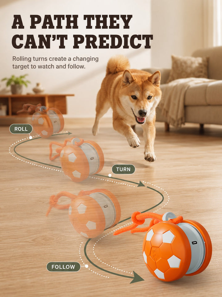 Rechargeable pet toy with a changing rolling path