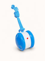 Blue Roller Rope rechargeable rolling pet toy