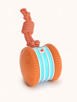 Orange Roller Rope rechargeable rolling pet toy